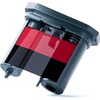 Red and Black