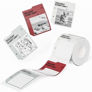 image:imageNIIMBOT Photo Papers Compatible with Pro Series Label Makers Thermal Picture Labels Good Idea to Print Photos Beauty Memories NoteList 213x26754x67mmSunlit Flight