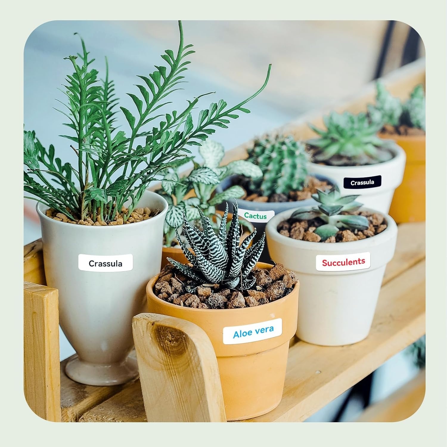 image:imageNIIMBOT Thermal Transfer Labels 055x118 for N1B18 Label Maker PET Material Waterproof and HighTemperature Resistance Long Storage Time White14x30mm190055118white